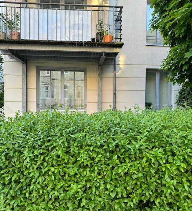 Gemuetliches Apartment Im Herzen Detmolds Exteriér fotografie